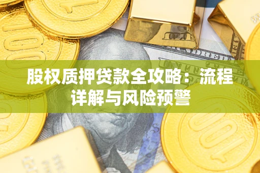 北京股权质押贷款全攻略：流程详解与风险预警