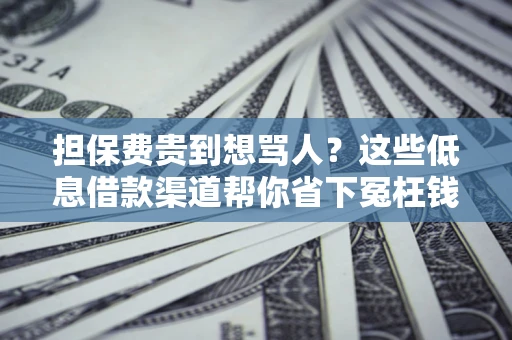 北京担保费贵到想骂人？这些低息借款渠道帮你省下冤枉钱