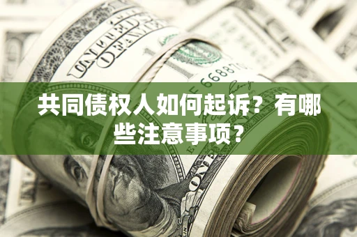北京共同债权人如何起诉？有哪些注意事项？